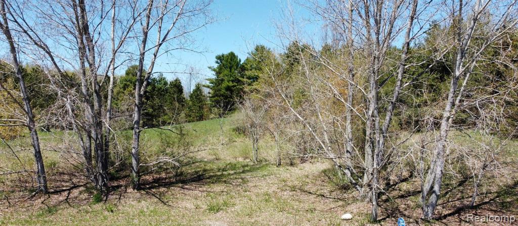 (Lot 17) 1884 S Walden Court, Suttons Bay, MI 49682 — Photo 2