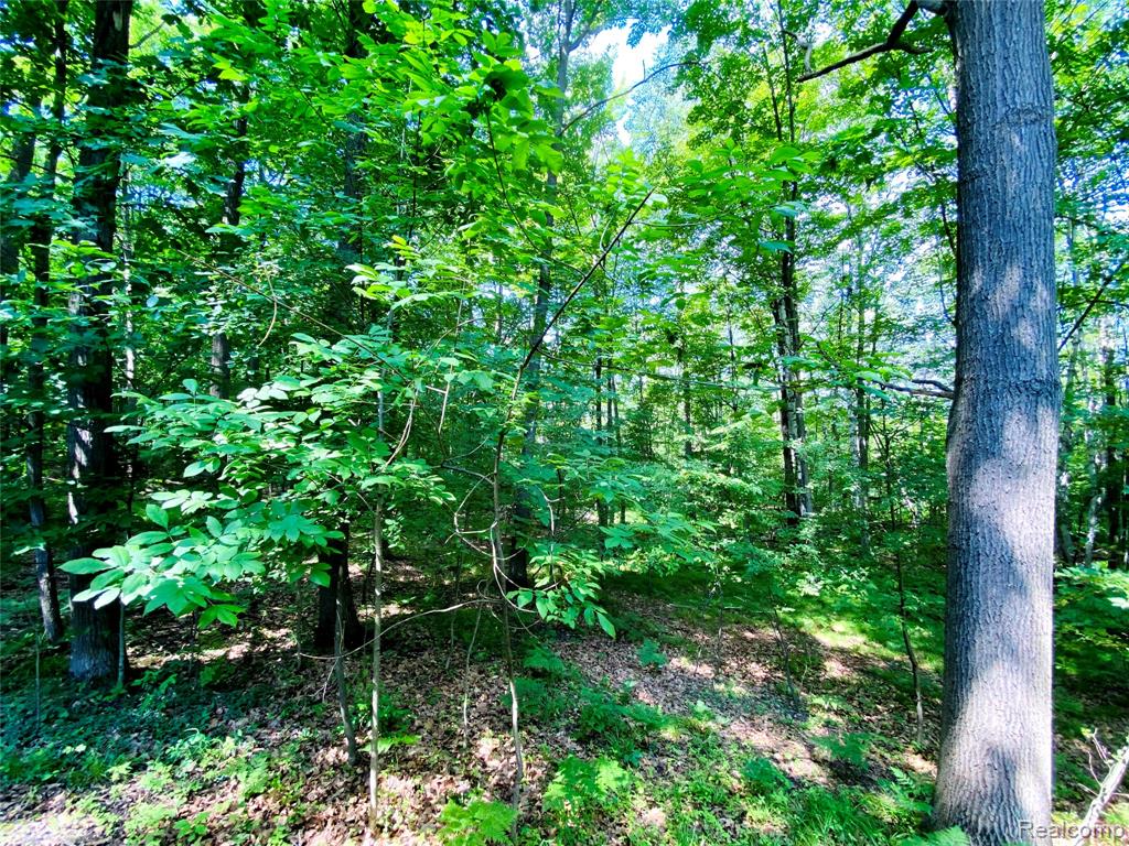 1576 Pine Knoll Lane, Caro, MI 48723 — Photo 20
