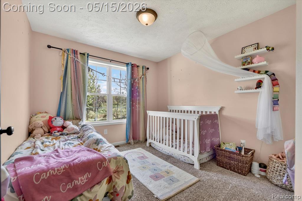 3057 Bignall Drive, Howell, MI 48855 — Photo 25