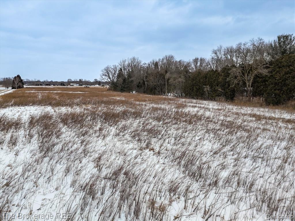 S Gera Rd, Birch Run, MI 48415 — Photo 14
