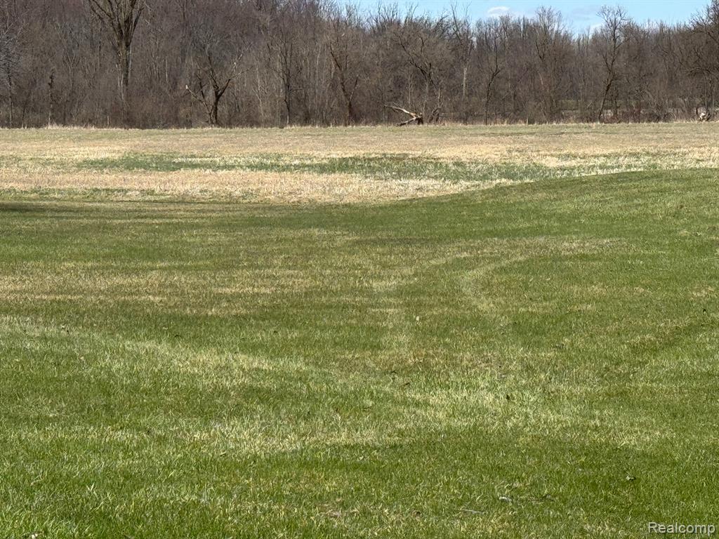 7188 Reid Road, Swartz Creek, MI 48473 — Photo 37