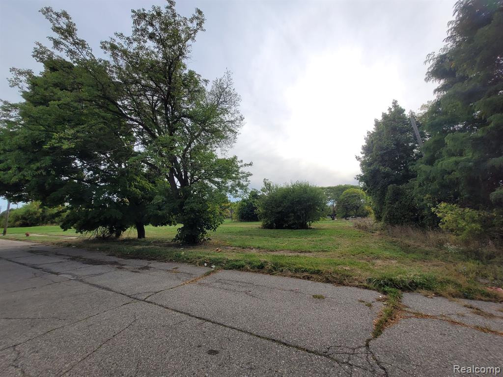6935 E CONGRESS Street, Detroit, MI 48207 — Photo 3