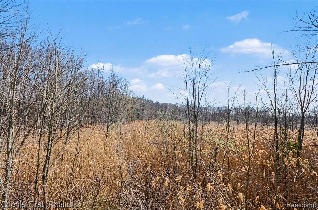 41450 Cornell Drive, Novi, MI 48377 — Photo 26