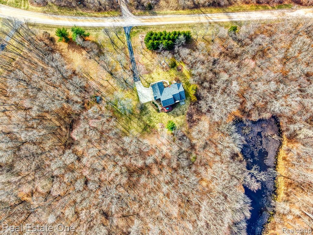 167 Forest Valley Court, Pinckney, MI 48169 — Photo 6
