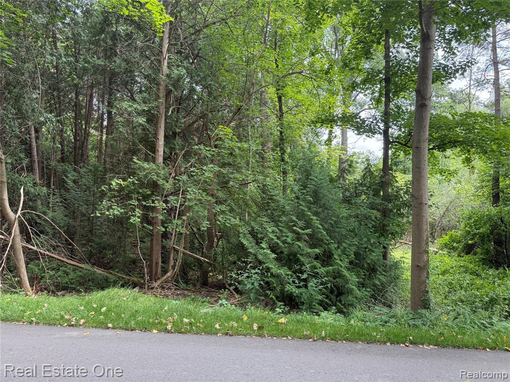 Lot 62 Plover Drive, Highland, MI — front exterior