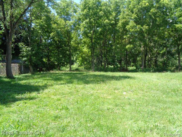 18985 TRINITY Street, Detroit, MI 48219 — Photo 3