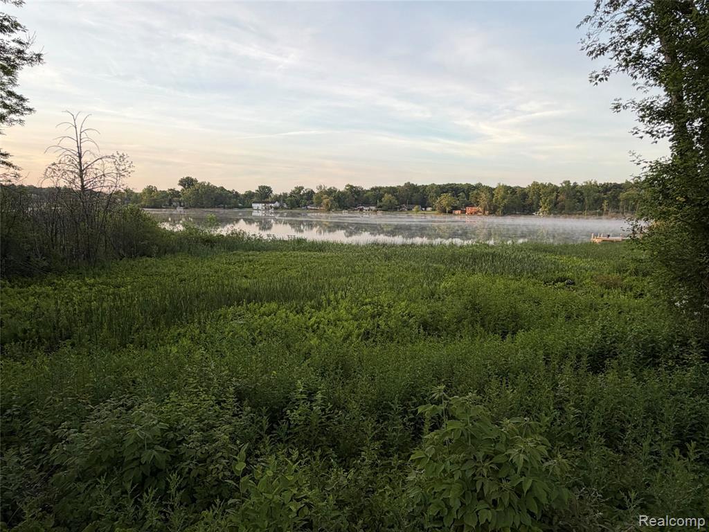 3604 Bay Harbor Drive, 78, Brighton, MI 48114 — Photo 43