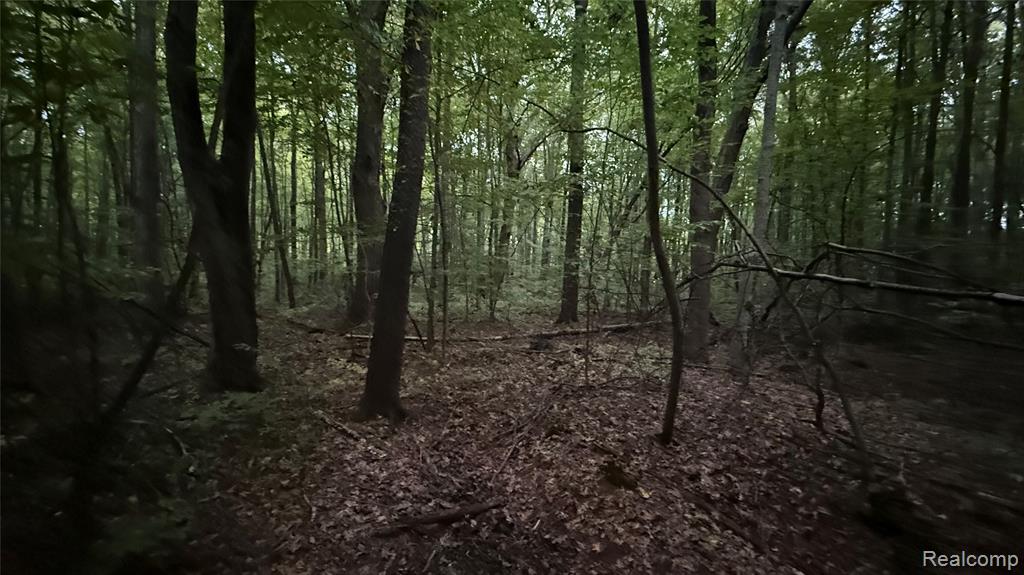 4528 N River Road, Clyde, MI 48049 — Photo 12