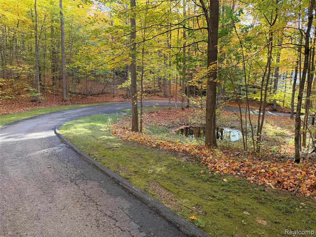 6788 E Hoxie Road, Cedar, MI 49621 — Photo 49