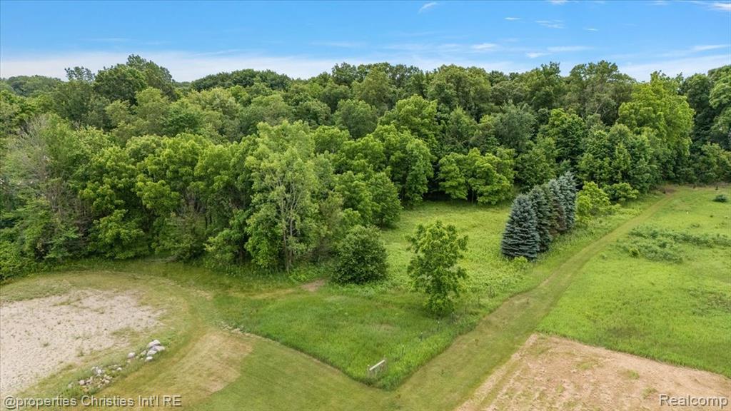 22150 Donnas Drive Street, South Lyon, MI 48178 — Photo 12