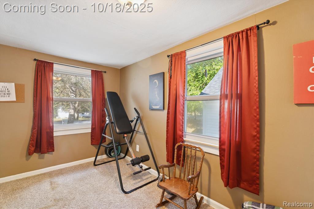 802 Tickner Street, Linden, MI 48451 — Photo 18