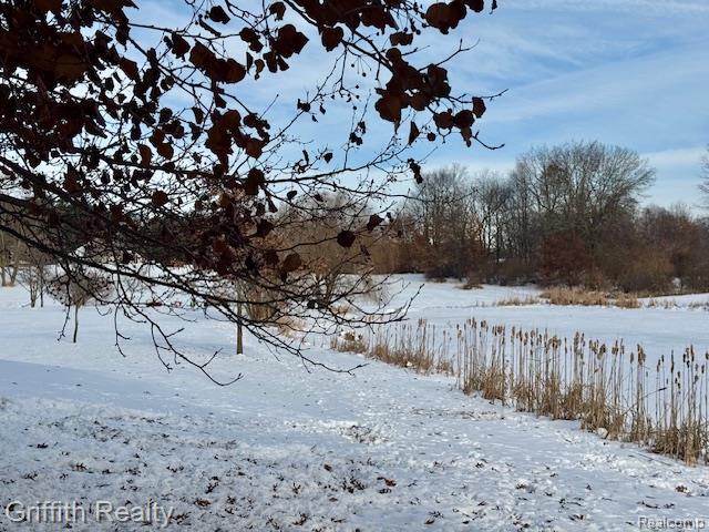 5748 W Coon Lake Road, Howell, MI 48843 — Photo 73