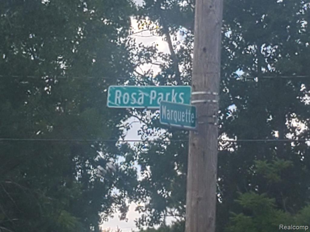 6102 ROSA PARKS Boulevard, Detroit, MI 48208 — Photo 5