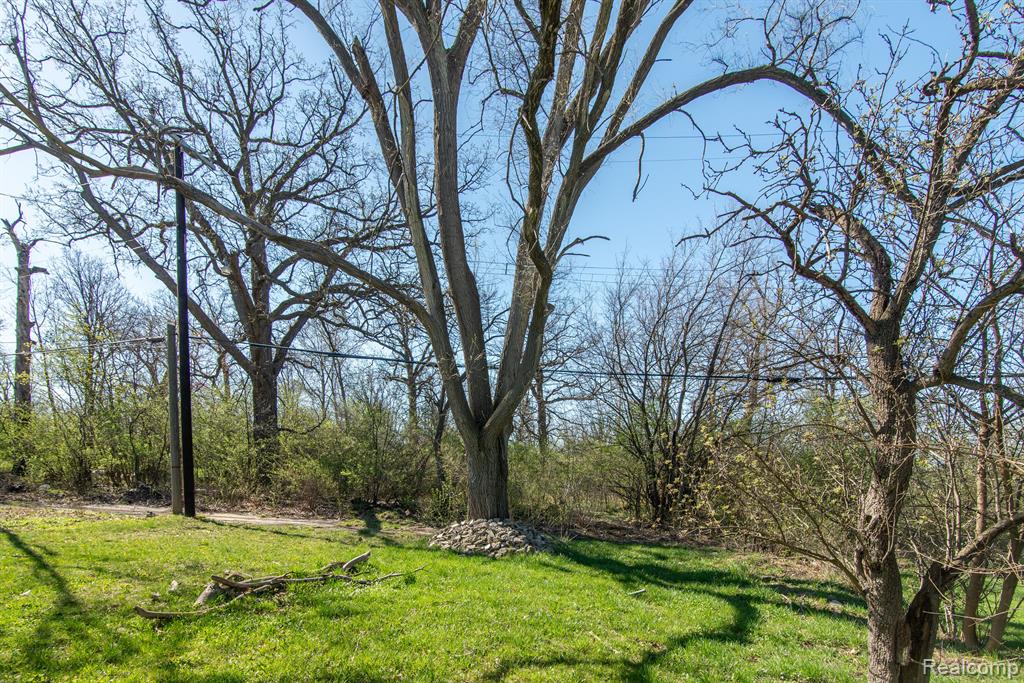 985 FERNHILL Street, Highland Park, MI 48203 — Photo 18