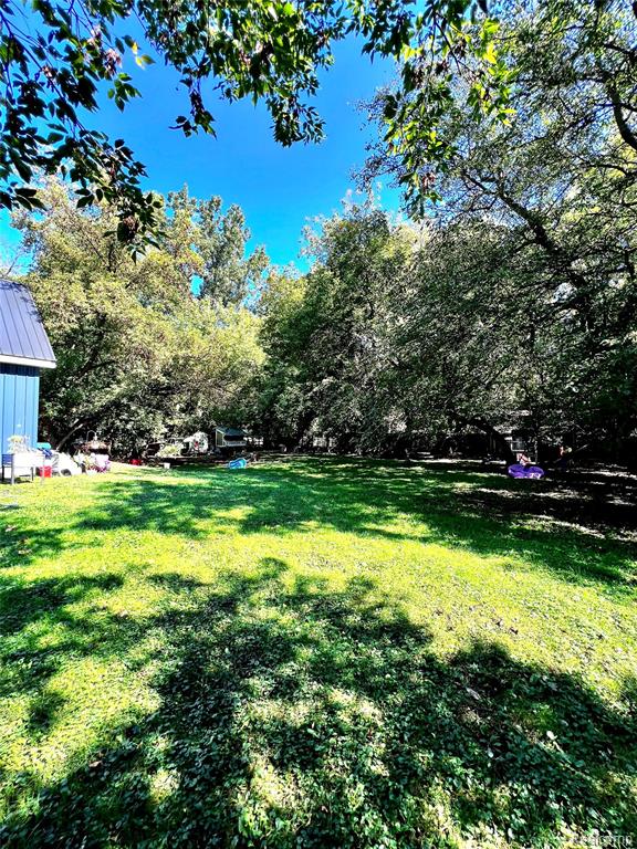 6030 Coe Drive, Richfield, MI 48423 — Photo 7