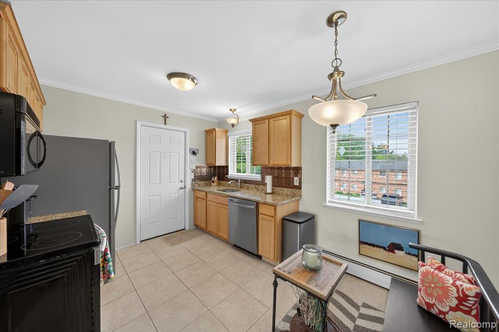 454 Romeo Road, 226, Rochester, MI 48307 — Photo 10