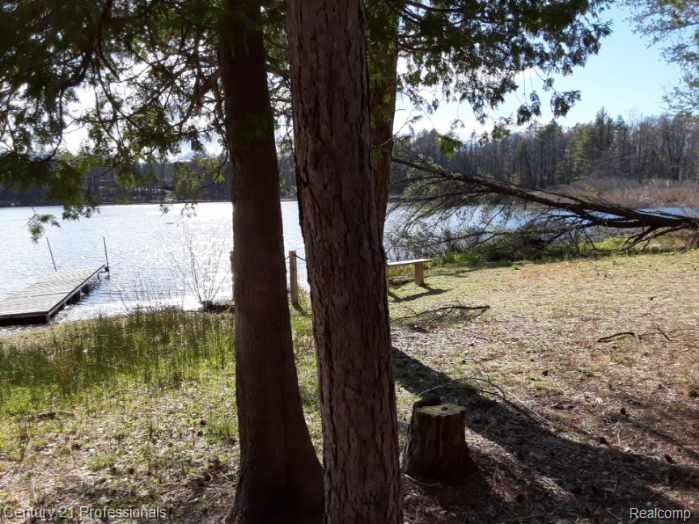 6710 Chippewa Trail, Rogers City, MI 49779 — Photo 6