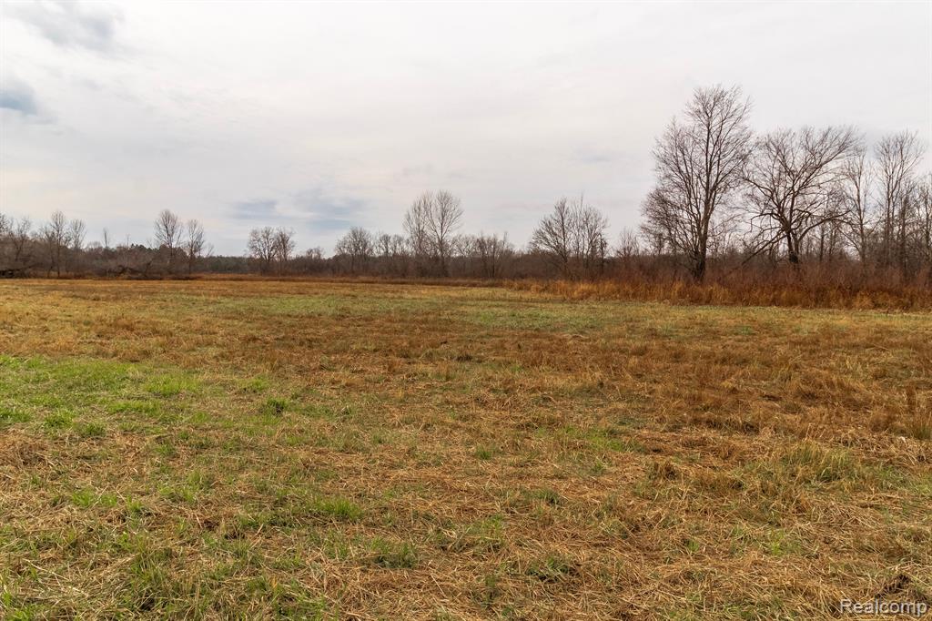 VL Roods Lake Road, Lapeer, MI 48446 — Photo 3