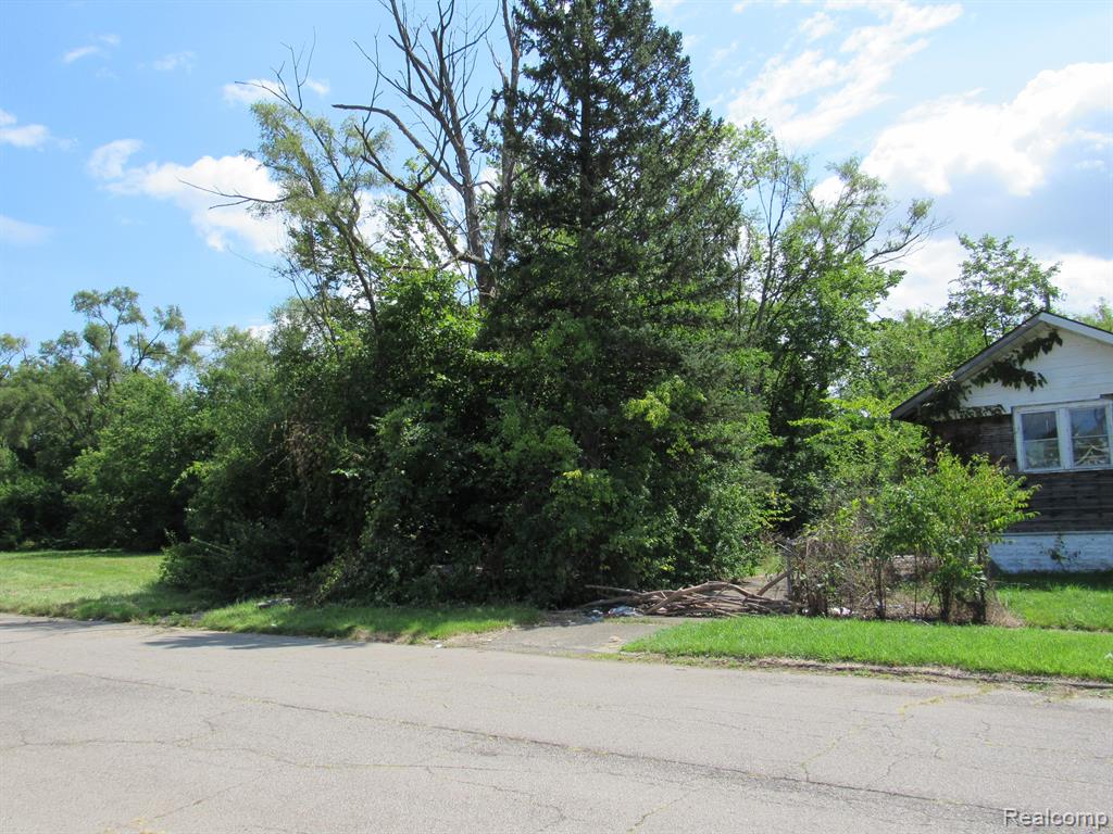 1051 Fernhill Street, Highland Park, MI 48203 — Photo 10
