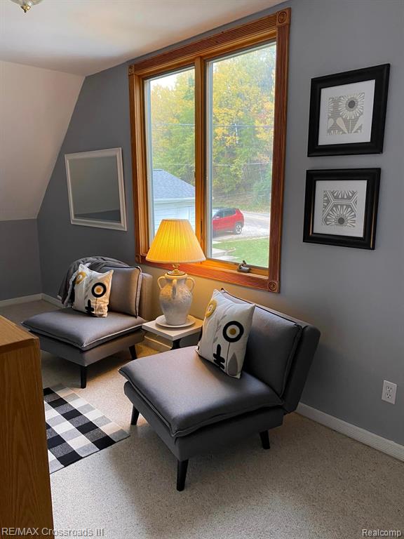 7527 COVE Road, Hale, MI 48739 — Photo 5