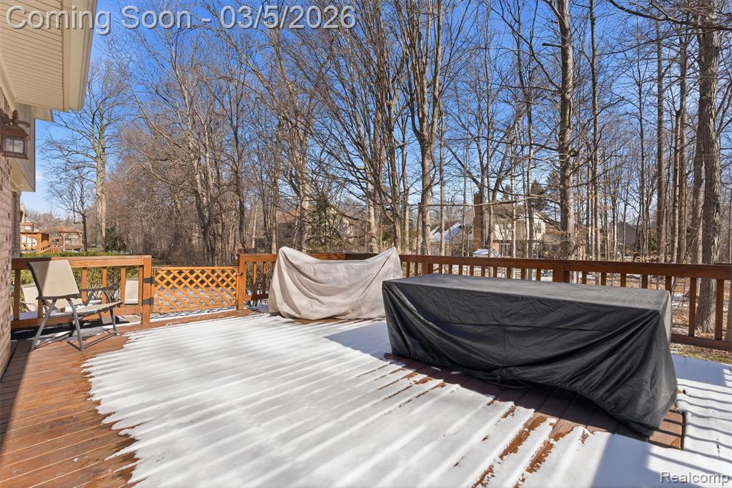 15948 Park Lane, Northville, MI 48168 — Photo 39