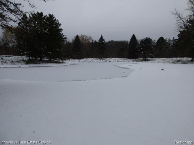 3820 Havens Road, Dryden, MI 48428 — Photo 42