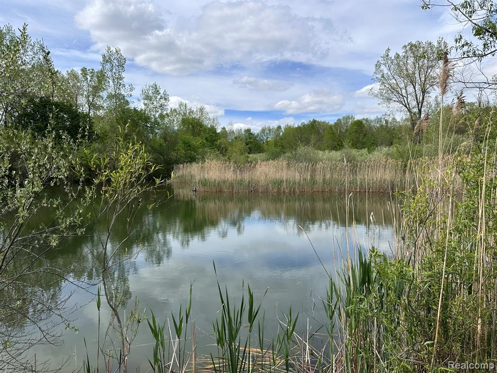 6250 Stine Road, Imlay City, MI 48444 — Photo 8