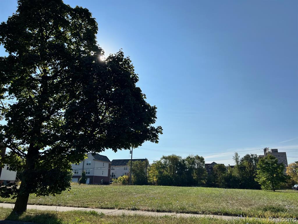 238 Hendrie Street, Detroit, MI 48202 — Photo 4
