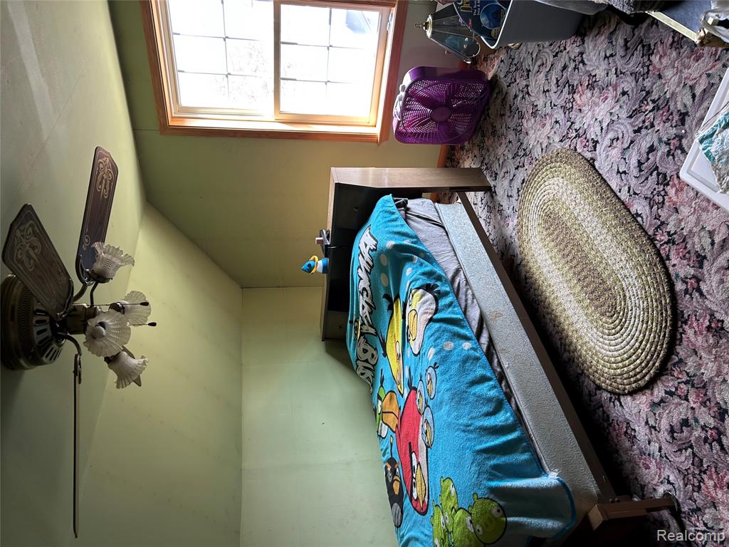 6667 Houghton Street, Cass City, MI 48726 — Photo 11