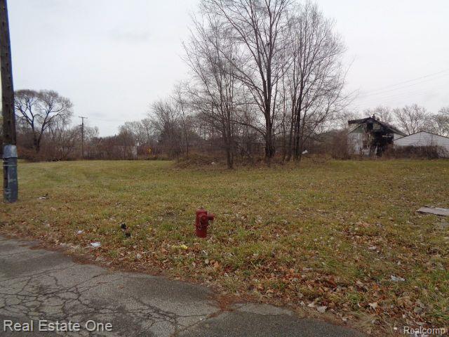2706 HENDRICKS Street, Detroit, MI 48207 — Photo 11