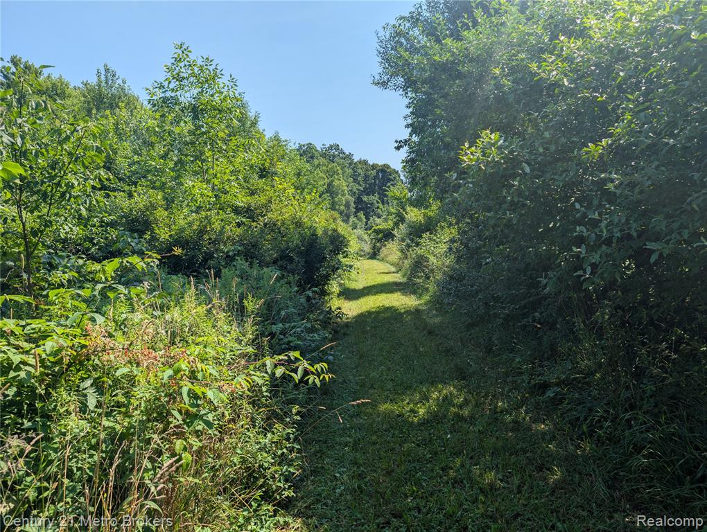 10190 Oak Road, Otisville, MI 48463 — Photo 23