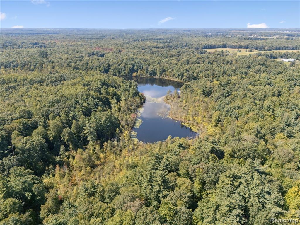 267 W Barnes Lake Road, Columbiaville, MI 48421 — Photo 42