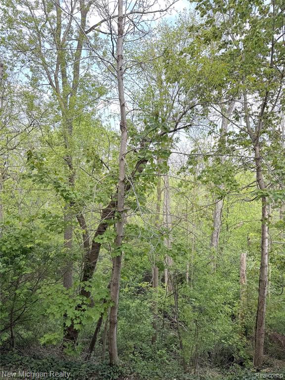 32718 Grand River Avenue, A4, Farmington, MI 48336 — Photo 17