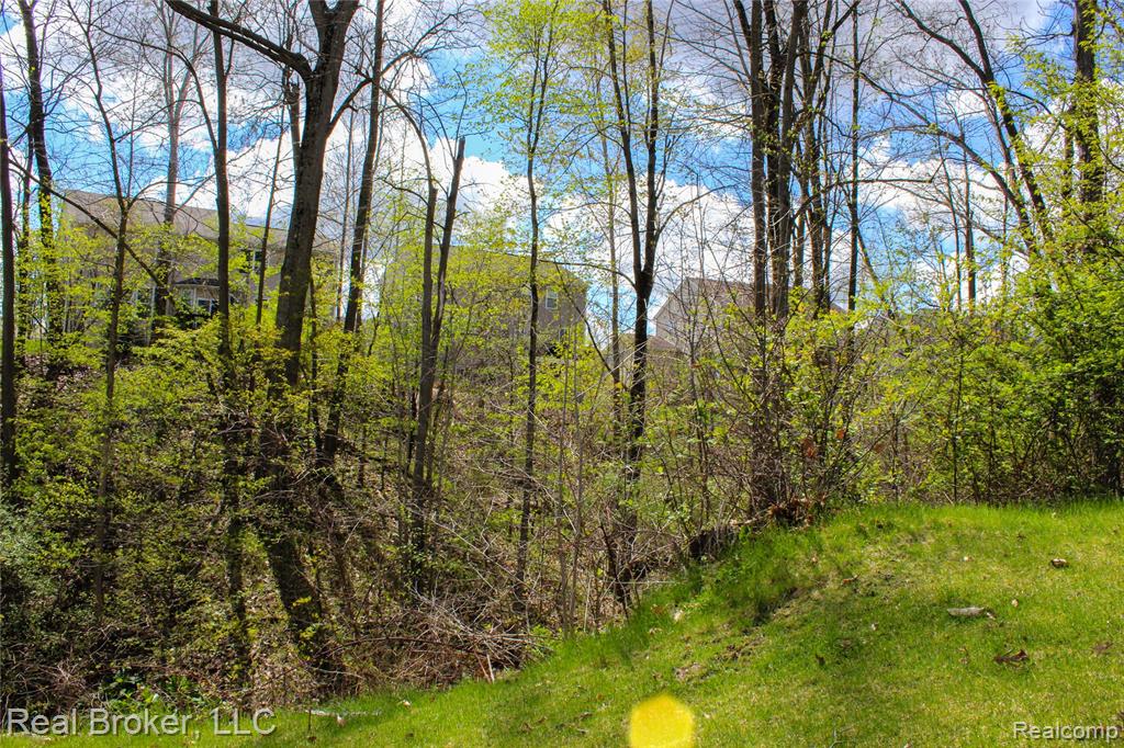 1313 Secretariat Way, Howell, MI 48843 — Photo 54