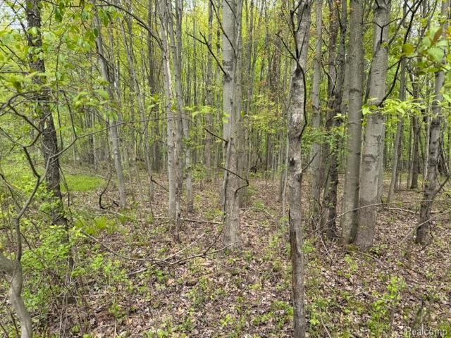 V/L Green Creek Ln, Oxford, MI 48371 — Photo 10