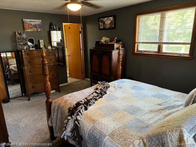 6798 E HOUGHTON, Cass City, MI 48726 — Photo 37