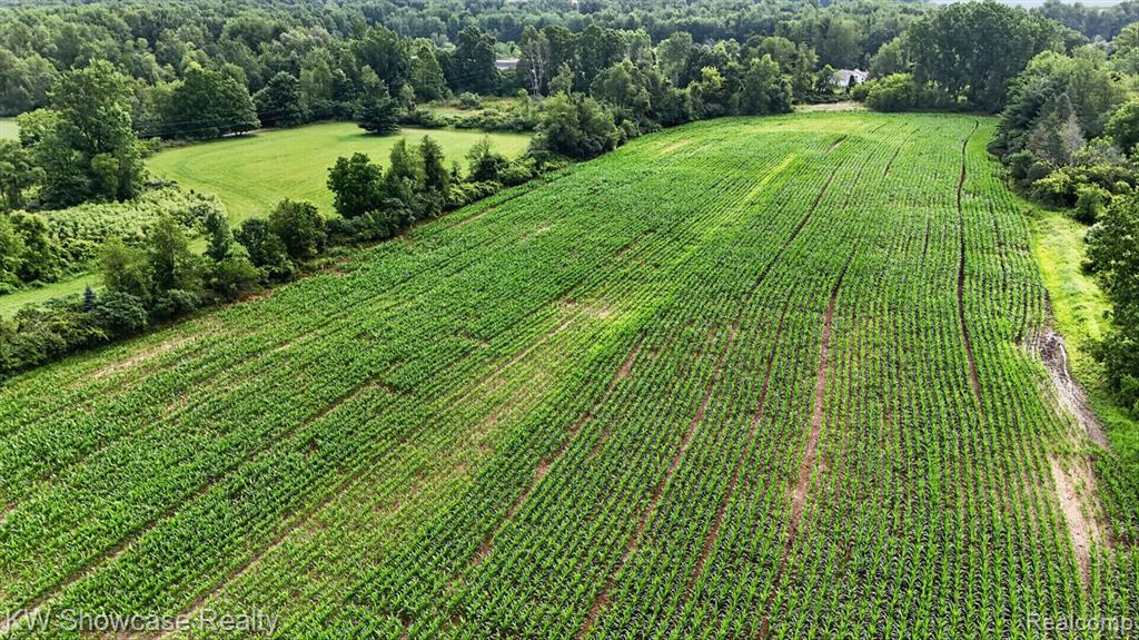 1120 N Gregory Road E, Fowlerville, MI 48836 — Photo 11