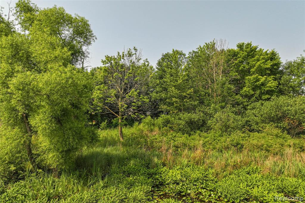 VL Delphine Drive, Holly, MI 48442 — Photo 11