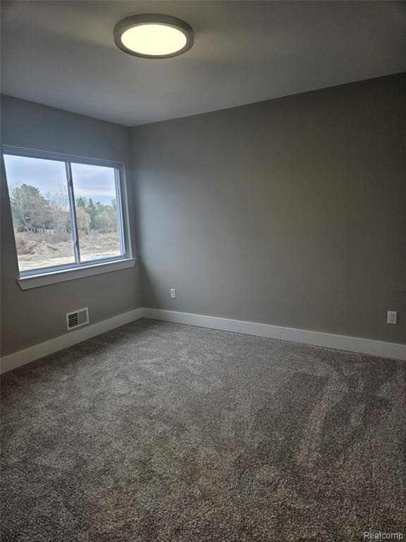 49287 London Bridge Drive, Macomb, MI 48044 — Photo 23