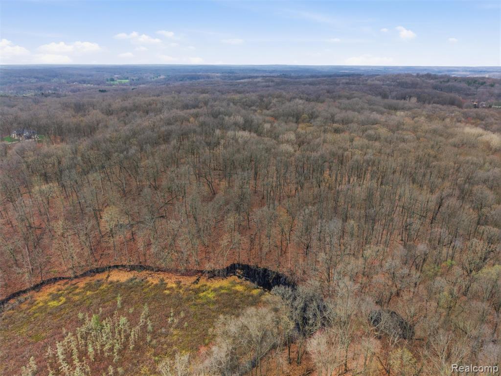 11810 Scenic Valley, Davisburg, MI 48350 — Photo 47