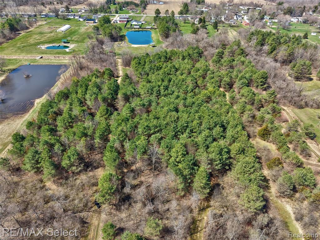 3309 S Vassar Road, Davison, MI 48423 — Photo 44