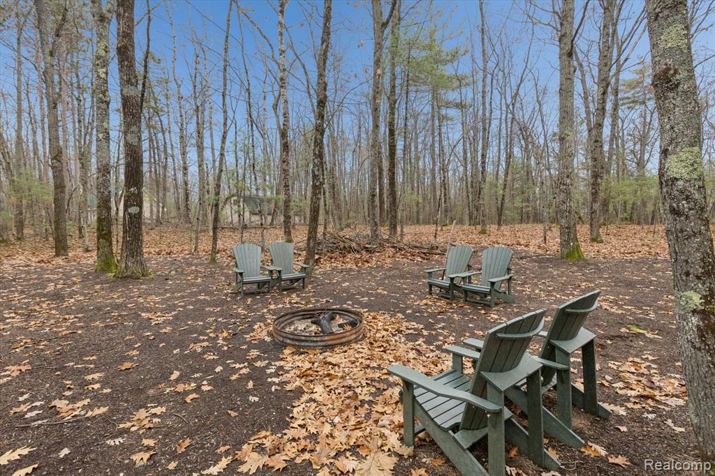 150 N East Mullett Lake Road, Indian River, MI 49749 — Photo 40