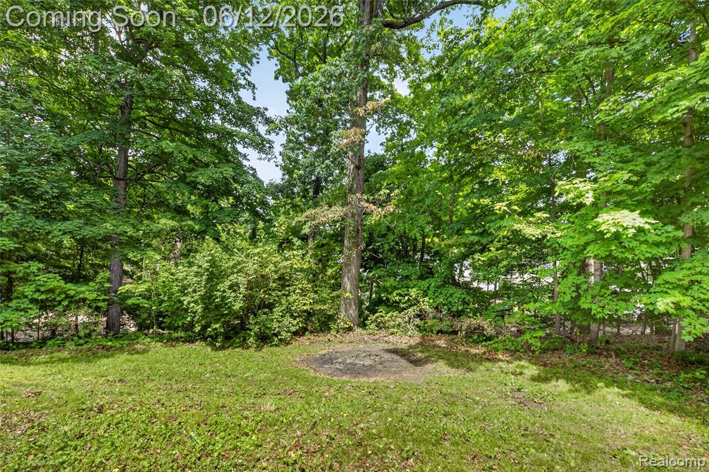 5831 Winans Drive, Brighton, MI 48116 — Photo 48