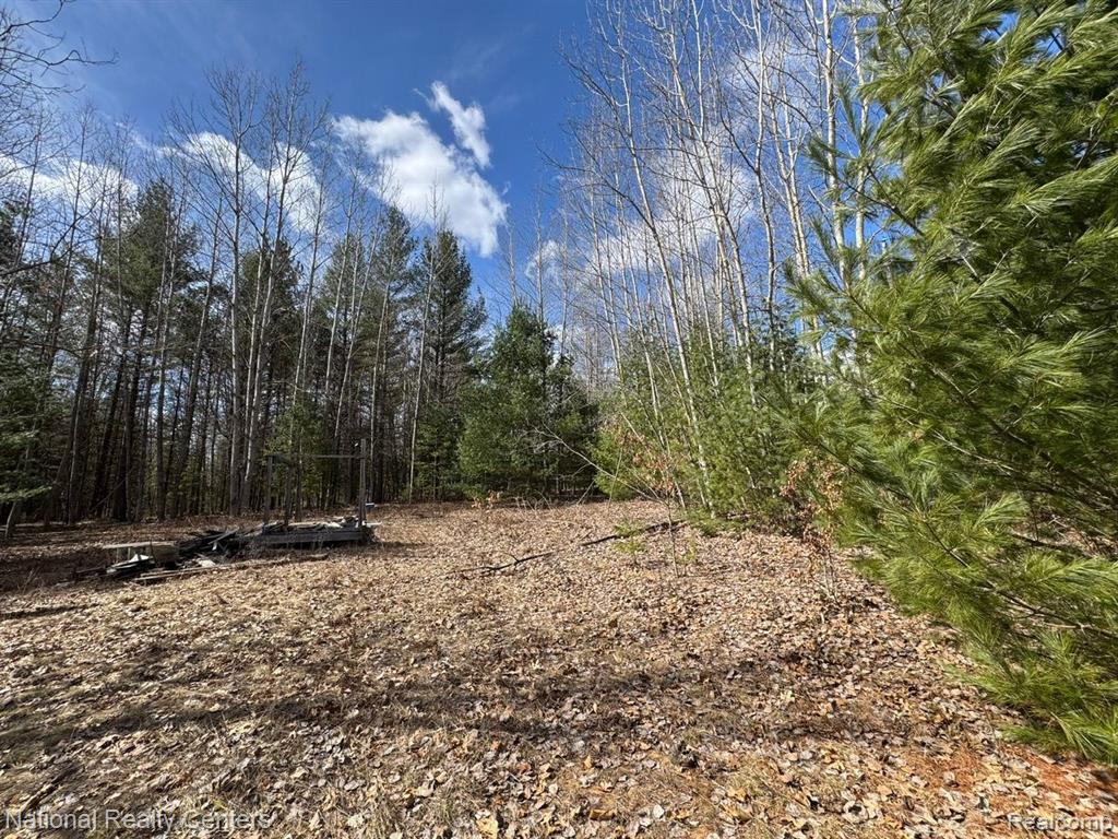 4233 Hardacre Trail, Houghton Lake, MI 48629 — Photo 5