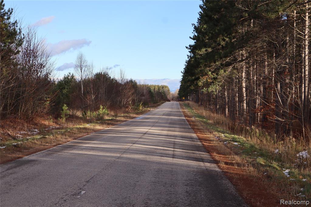 #A W Pendills Lake Road, Brimley, MI 49715 — Photo 37