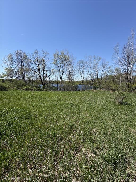 Parcel 1 Edgemont Drive, Howell, MI 48855 — Photo 17