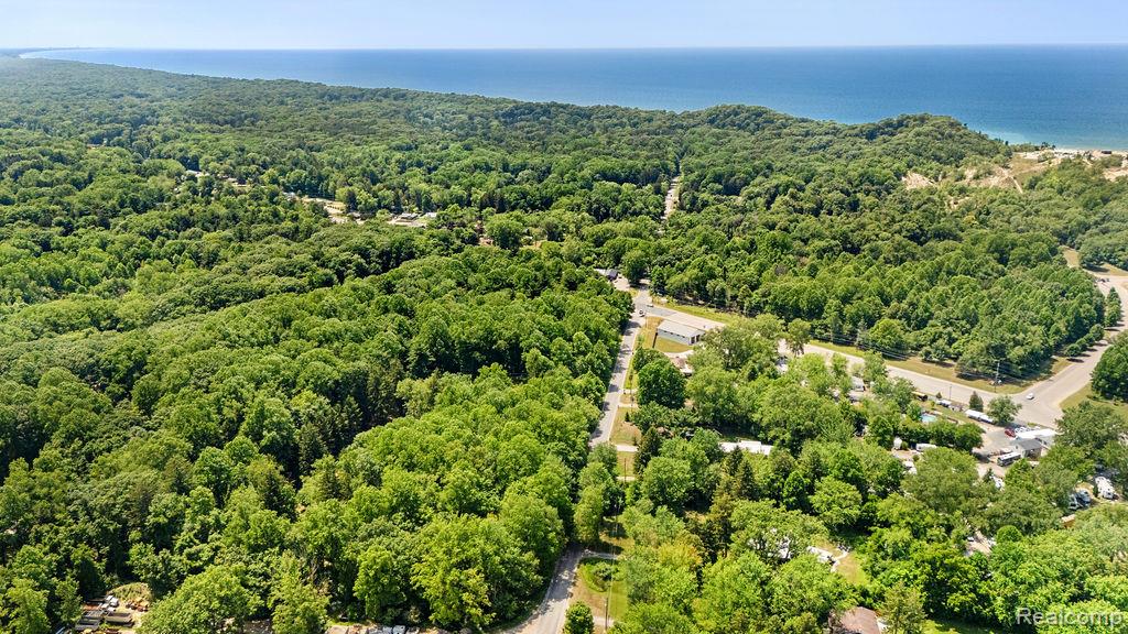 5831 Browntown Road, Sawyer, MI 49125 — Photo 38