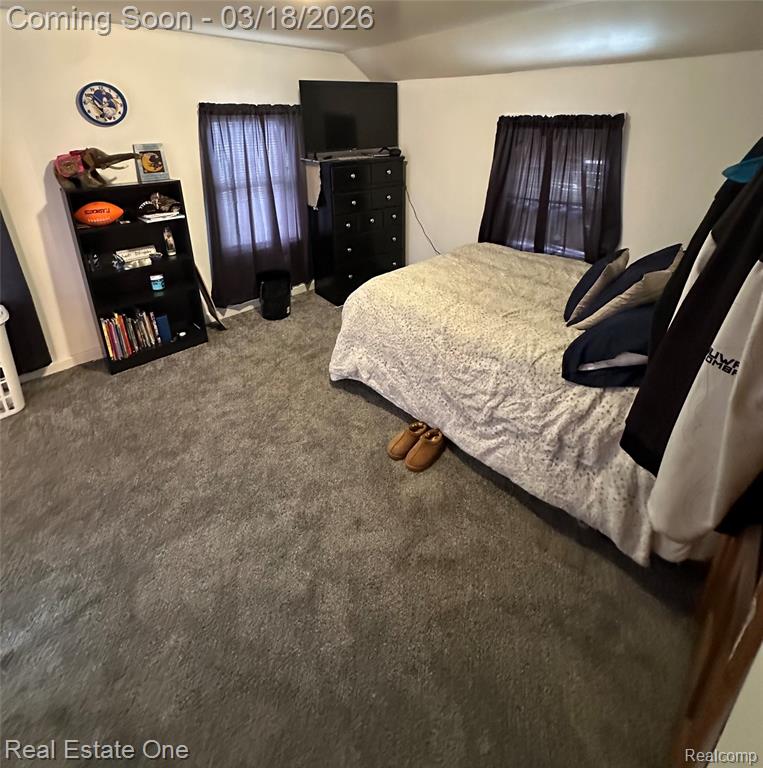 200 S Hayes Street, Farwell, MI 48622 — Photo 23