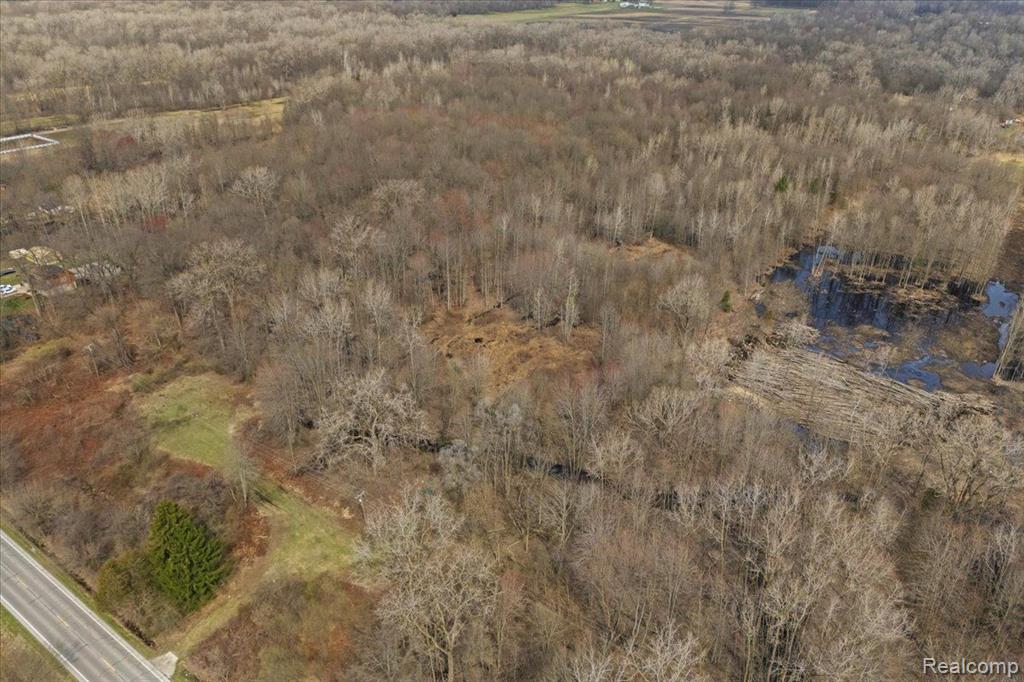 5278 OAKVILLE WALTZ Road, New Boston, MI 48164 — Photo 6