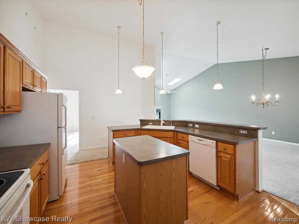 61011 EVERGREEN, South Lyon, MI 48178 — Photo 17